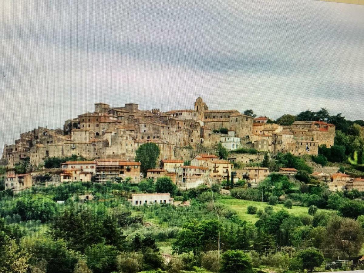 Castiglione In TeverinaCasa Gretaアパートメント エクステリア 写真